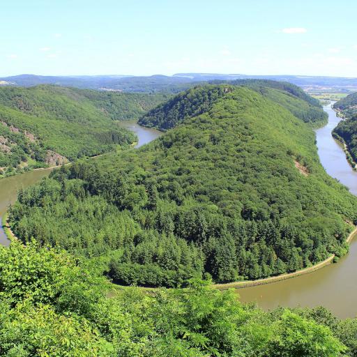 Region Saar